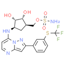 TAK-243 (MLN7243), Ubiquitin Activating Enzyme (UAE) Inhibitor