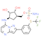TAK-243 (MLN7243), Ubiquitin Activating Enzyme (UAE) Inhibitor