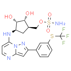 TAK-243 (MLN7243), Ubiquitin Activating Enzyme (UAE) Inhibitor
