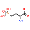 DL-AP4