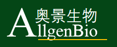 0.5ml平盖薄壁管