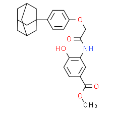 LW 6