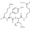 Dihexa