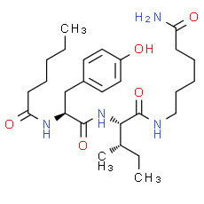 Dihexa