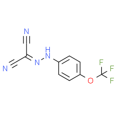 FCCP