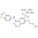 RIP2 kinase inhibitor 1