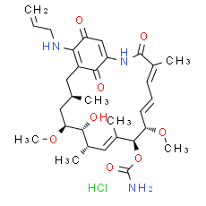 17-AAG Hydrochloride