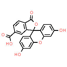 6-FAM