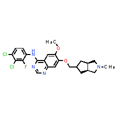 XL-647