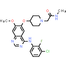 Sapitinib