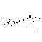 Istradefylline