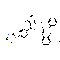 PI3Kγ inhibitor 1