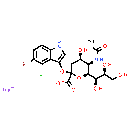 X-NeuNAc