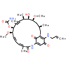 17-AAG
