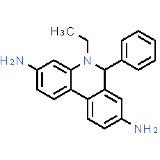 Dihydroethidium