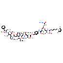 VcMMAE