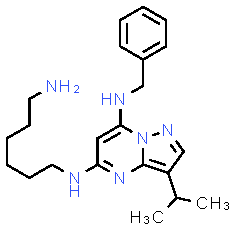 BS-181