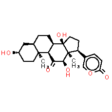 Pseudobufarenogin