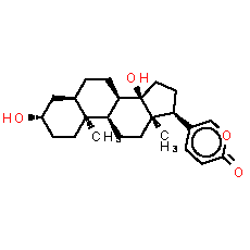 Bufalin