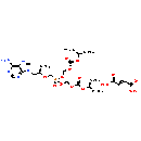 Tenofovir (Disoproxil Fumarate)