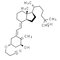 Calcitriol Derivatives