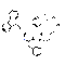 FBN33428