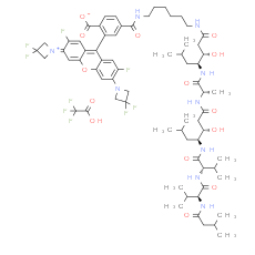 Pepstatin A Janelia Fluor® 526