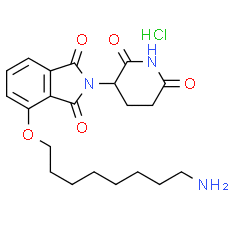 Thalidomide 4'-ether-alkylC8-amine