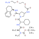 A 410099.1 amide-PEG2-amine-Boc