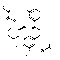 SLF TFA