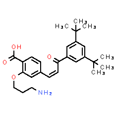 Ch55-O-C3-NH2