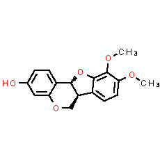 Methylnissolin