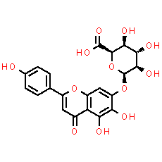 Scutellarin