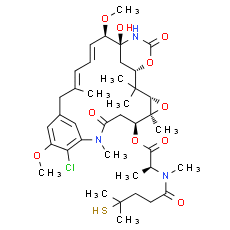 Maytansinoid DM4