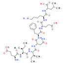 OVA-E1 peptide