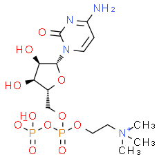 Citicoline