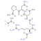 RGD peptide (GRGDNP) (TFA)