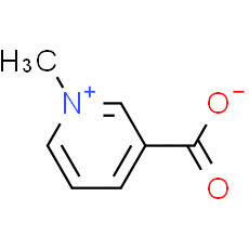 Trigonelline