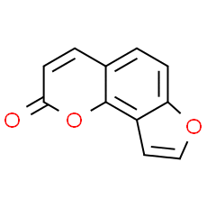 Angelicin