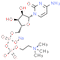 Citicoline sodium