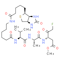 Biotin-VAD-FMK