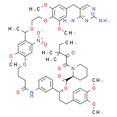 Zapalog