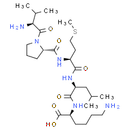 Bax inhibitor peptide V5