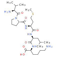 Bax inhibitor peptide V5