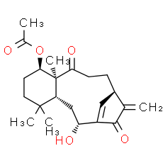 Kongensin A