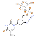 AZT triphosphate
