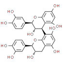 Procyanidin B3