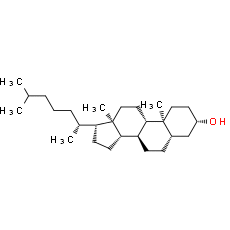 5α-Cholestan-3β-ol