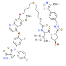 SJFα, potent and selective p38α PROTAC