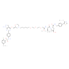 PROTAC SGK3 degrader-1